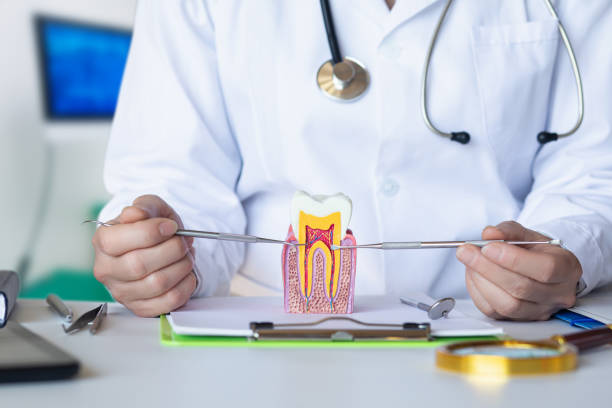 Best Emergency Dental Extractions in Amsterdam, NY